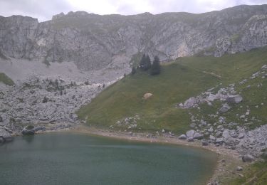 Excursión Senderismo La Chapelle-d'Abondance - lac de darbon - Photo