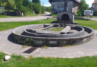 Tour Wandern Vellerot-lès-Vercel - velerot les vercels  - Photo