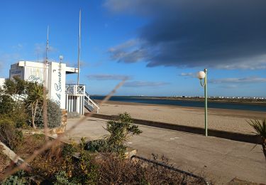 Trail Nordic walking Gruissan - Le massif de la Clape Gruissan - Photo