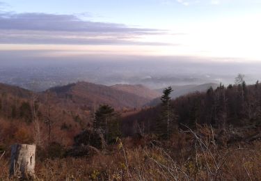 Trail On foot Zagreb - Planinarska staza Medvednica 23 - Photo