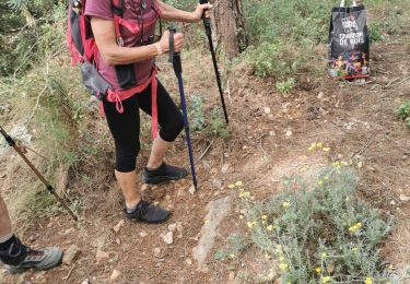 Tour Wandern Riboux - jaz de Frédéric par Riou - Photo