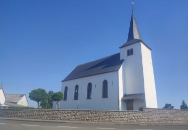 Tour Wandern Weinsheim - Weinsheim dag 3 - Photo