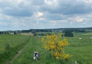 Trail Walking Neufchâteau - Tronquoy - Respelt - Photo