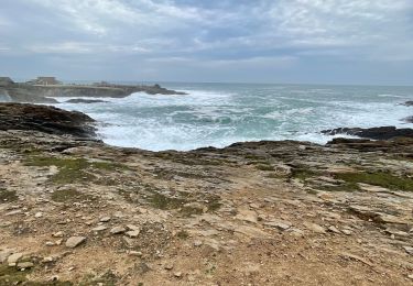 Excursión Senderismo Quiberon - Pointe de la presqu’île de Quiberon - Photo