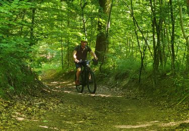 Trail Electric bike Bœrsch - sortie vtt 1406022 boersch - Photo