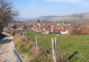 Randonnée Marche Château-Chalon - Château-Chalon boucle 11km - Photo