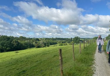 Randonnée sport Tourouvre au Perche - Les collines du perche jour trois - Photo