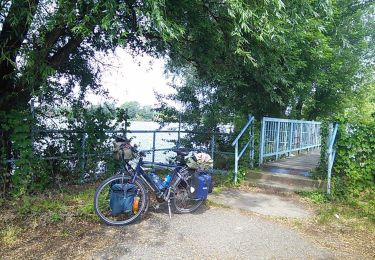 Tour Zu Fuß Wetsch - Ráckevei Z+ - Photo