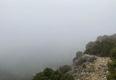 Tocht Stappen Bonnieux - Forêt des cèdres Bonnieux - Photo