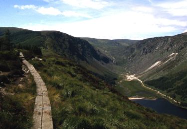 Tocht Te voet The Municipal District of Wicklow - Spinc and Glenealo Valley - Photo