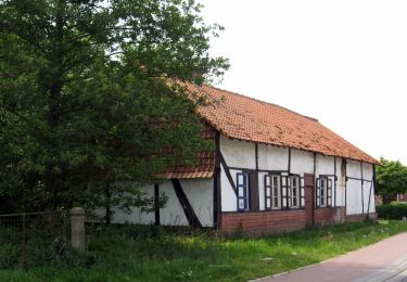 Excursión A pie Hasselt - Mombeekvallei Geel - Photo