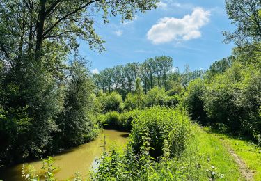 Trail Walking Hannut - balade_de_la_mouhagne-1 2 - Photo