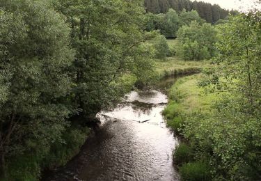 Excursión Bici de montaña Chimay - Rando avec le Crazy Bikers du 25/11/18 - Photo