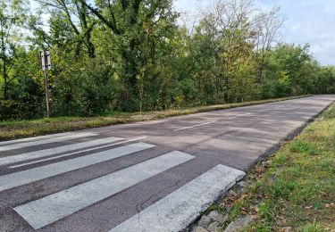 Tocht Stappen Chauffour-lès-Étréchy - Chauffour-lès-Etréchy - Coteau des Verts Galants - Photo