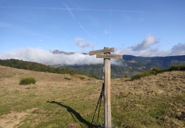 Randonnée Marche Prades - Le col de Rieufred  - Photo