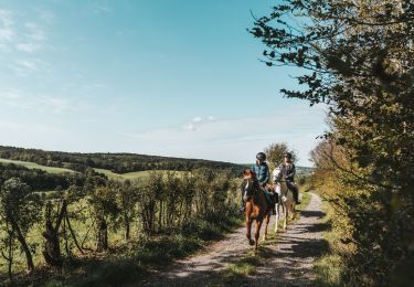 Tocht Paardrijden Sivry-Rance - 9673018-GT équestre - Sivry-Virelles - Photo