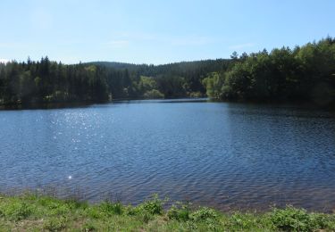 Tocht Stappen Grandsaigne - Cledat-Chadebec - Photo