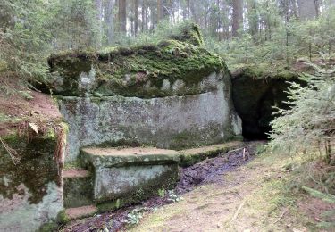 Trail On foot Eckersdorf - Mistelbach Rundwanderweg 