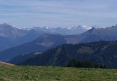 Tocht Stappen Montriond - J11GR5Nord - Photo