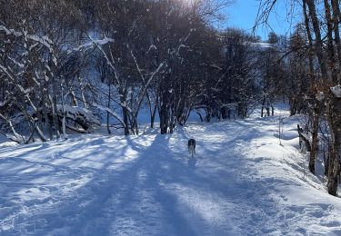 Trail Walking Valloire - Les Verneys - Bonnenuit - Valloire - Photo