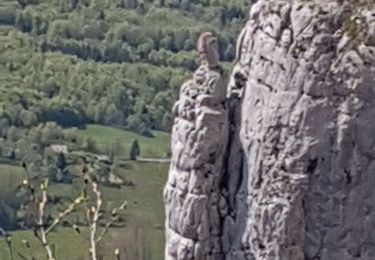 Randonnée Marche Saint-Martin-en-Vercors - La Sambue  - Photo