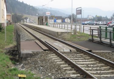 Percorso A piedi Gemeinde Warth - Leidinger Weg (Ausgangspunkt: Petersbaumgarten Kapellenplatz) - Photo