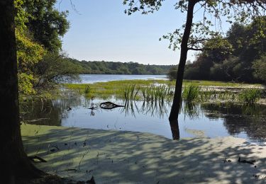 Percorso Marcia Fontaines-en-Sologne - Fontaines-en-Sologne - Les étangs - Photo