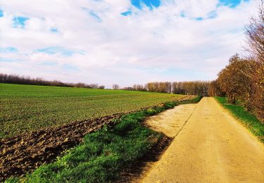 Tour Wandern Geer - La promenade du Geer  - Photo