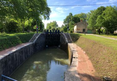 Randonnée V.T.T. Avignonet-Lauragais - Port Lauraguais - Canal du midi - Photo