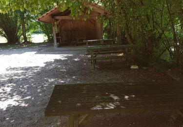 Trail Walking Kœstlach - koest2 - Photo
