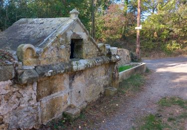 Tocht Stappen Rennes-les-Bains - Rennes-les-Bains  le pech Cardou - Photo