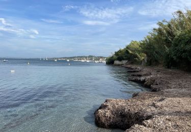 Trail Walking Hyères - Tour de la presqu’île de Guens - Photo