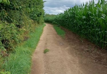 Trail Walking Plévenon - VISITE AU FORT LA LATTE - Photo