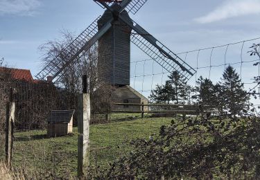 Tocht Stappen Herzele - EHERZEELE 16KM 21:02:2021 - Photo