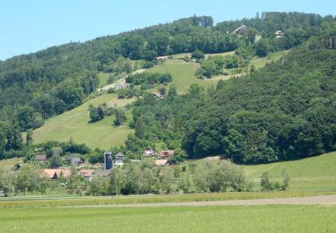 Trail On foot Toffen - Toffen - Belp - Photo