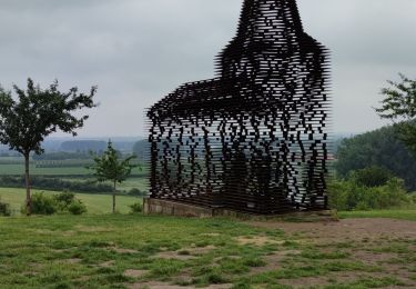 Tour Wandern Borgloon - A travers les vergers de Borgloon  - Photo