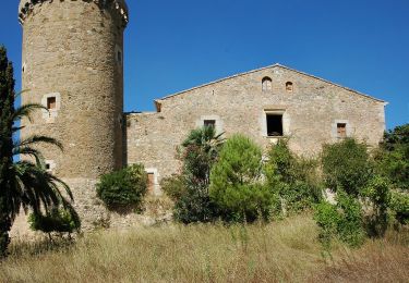 Percorso A piedi Torroella de Montgrí - Ruta del Vent - Photo