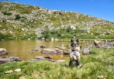 Excursión Senderismo Bastelica - LAC de RINA - Photo