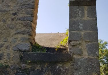 Excursión Senderismo Beauzac - 2019 09 15 Vaures - Photo