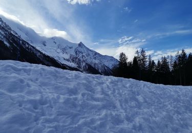 Trail Walking Chamonix-Mont-Blanc - CHAMONIX ... vers les Praz de Chamonix.  - Photo