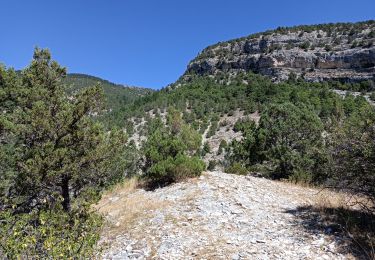 Percorso Marcia Garde-Colombe - Gorges du Riou - Photo