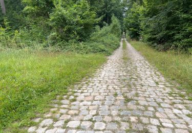 Trail Walking Ormoy-le-Davien - 060722 - Petite rando 10 km - Photo