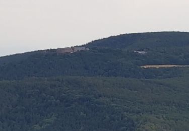 Trail Walking Rosheim - la tour du HEINDEKOPF - Photo