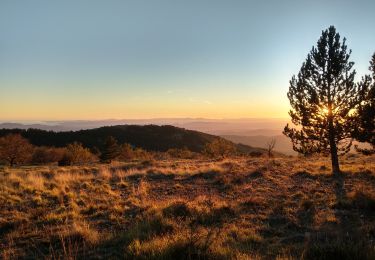 Trail Walking Saint-Vallier-de-Thiey - couche de soleil au col du ferrier  - Photo