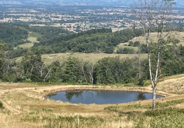 Tocht Stappen Saint-Bonnet-des-Quarts - Ambierle : Bancheret - Servajeans - Photo