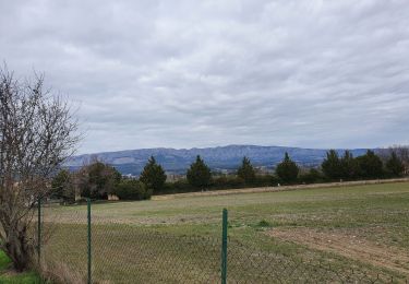 Randonnée Marche Peynier - Dalbessy - Photo