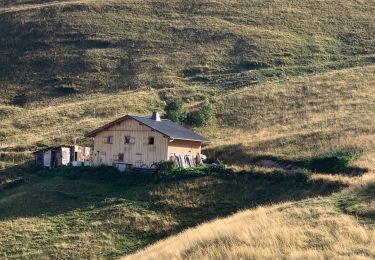 Tocht Stappen Taninges - Chalet d’Uble - Photo