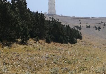 Trail Walking Beaumont-du-Ventoux - ventoux - Photo