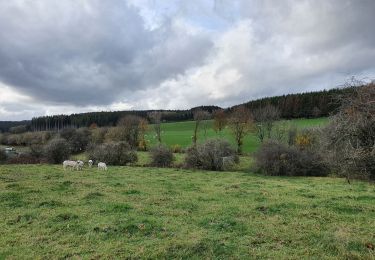 Tocht Stappen Fauvillers - rando fauvillers 3/11/2020 - Photo