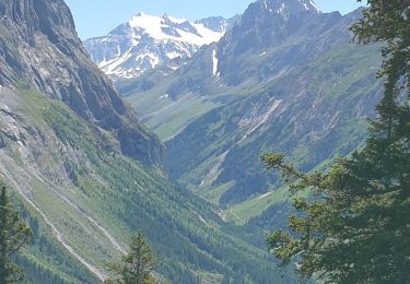 Percorso Marcia Pralognan-la-Vanoise - Tour de l''aiguille de la Vanoise - Photo